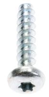 Saeco Schroef                                                      996530013165