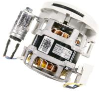HISENSE/GORENJE Circulatiepompen                                             556161