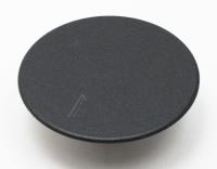 Boschsiemens Branderkop                                                   00615555