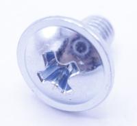 Amica Schroef                                                      8062162