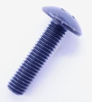 Yamaha Schroef                                                      WP097200
