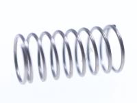 Amica Veer                                                         1013239