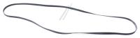 WHIRLPOOL/INDESIT Poly-v-snaar                                                 481281729471