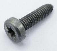 Boschsiemens Schroef                                                      00632787