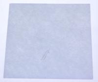 Philips Stofzuigerfilter                                             422245946271