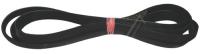 WHIRLPOOL/INDESIT Poly-v-snaar                                                 481281728292