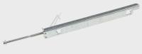 Boschsiemens Voet                                                         00420589
