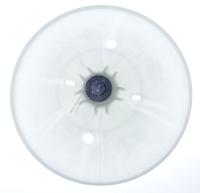 ELECTROLUX / AEG Snaarwiel                                                    4055747333