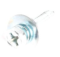 Boschsiemens Schroef 10009067