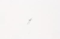Samsung Chip spoelen                                                 2703002313